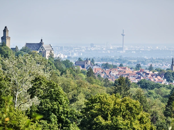 Burg Kronberg vom Malerblick aus