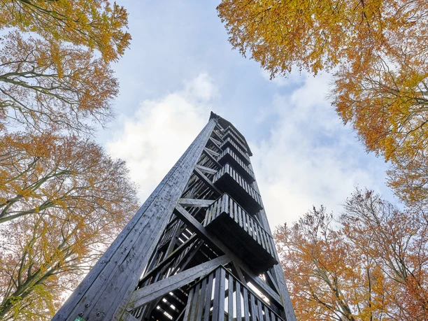 Der Pferdskopfturm Der Pferdskopfturm umgeben von Herbstbäumen