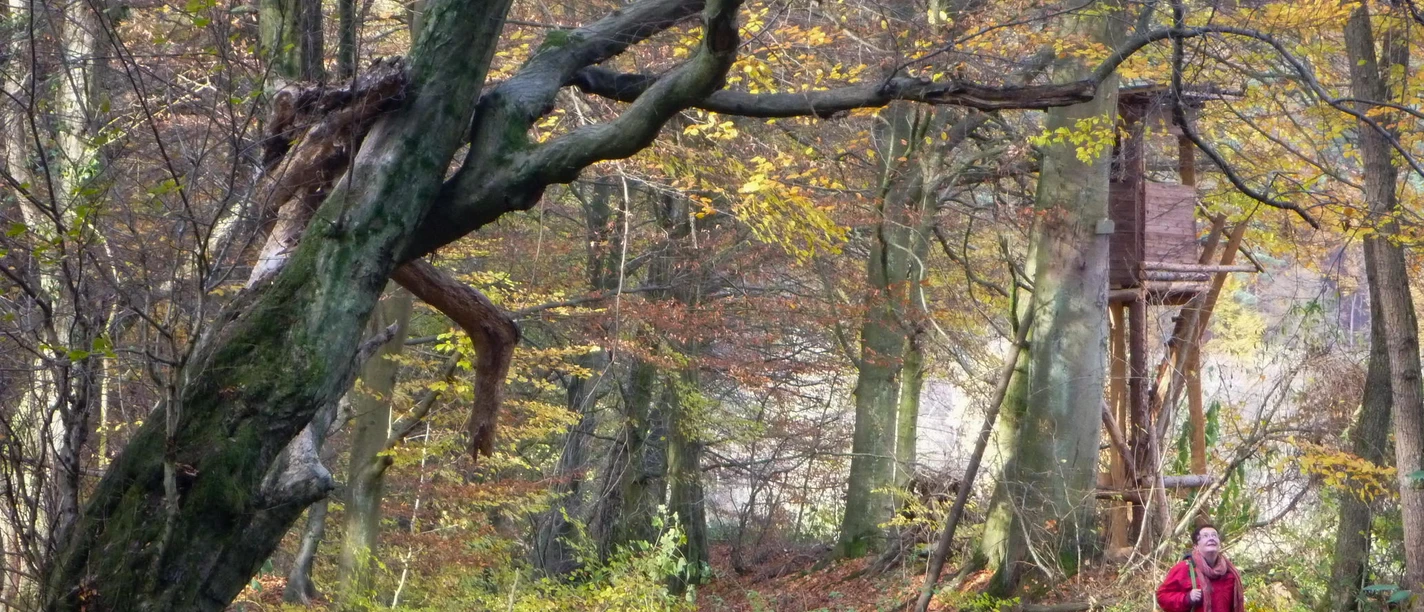 2026-08-30 Rund um die Brackenburg.JPG
