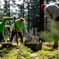 BWP_Presse_Pflanzung_Unterschönau.jpg