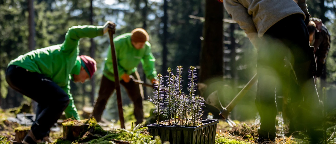 BWP_Presse_Pflanzung_Unterschönau.jpg