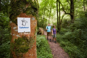 Im Steinbachtal auf der Saarschleife Tafeltour