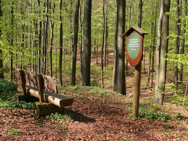 Der Seelenpfad bei Herzberg