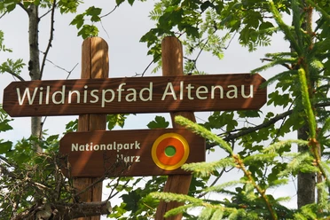 Willkommen auf dem Wildnispfad Altenau