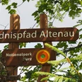 Willkommen auf dem Wildnispfad Altenau