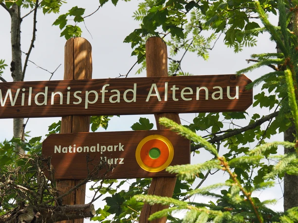 Willkommen auf dem Wildnispfad Altenau