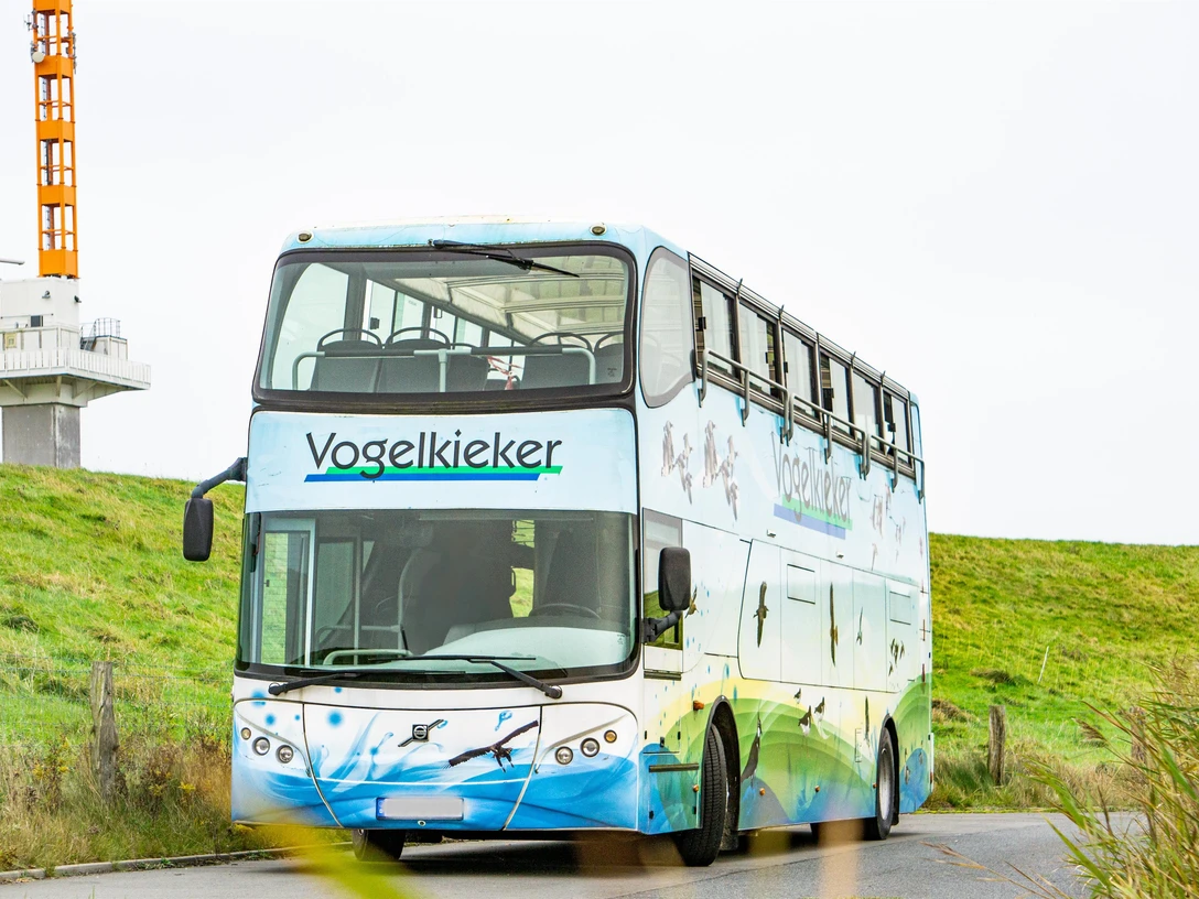 Vogelkieker