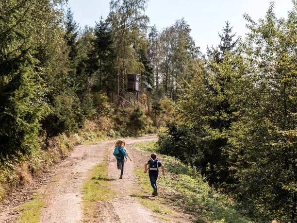 Kinder auf Wanderweg
