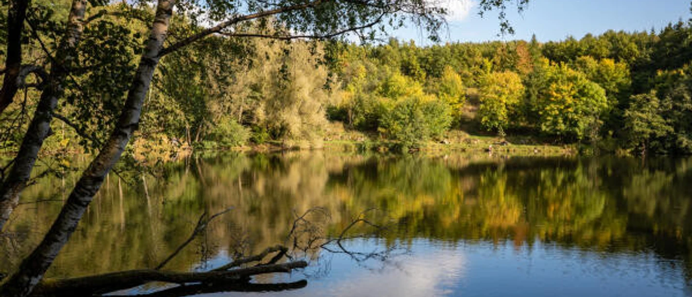 soehre_stellbergsee_6472a