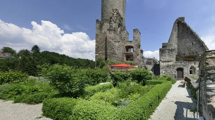 Süßdolde und Eberraute