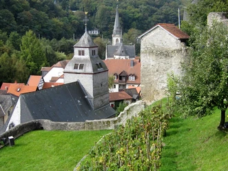 Wingert im Südzwinger