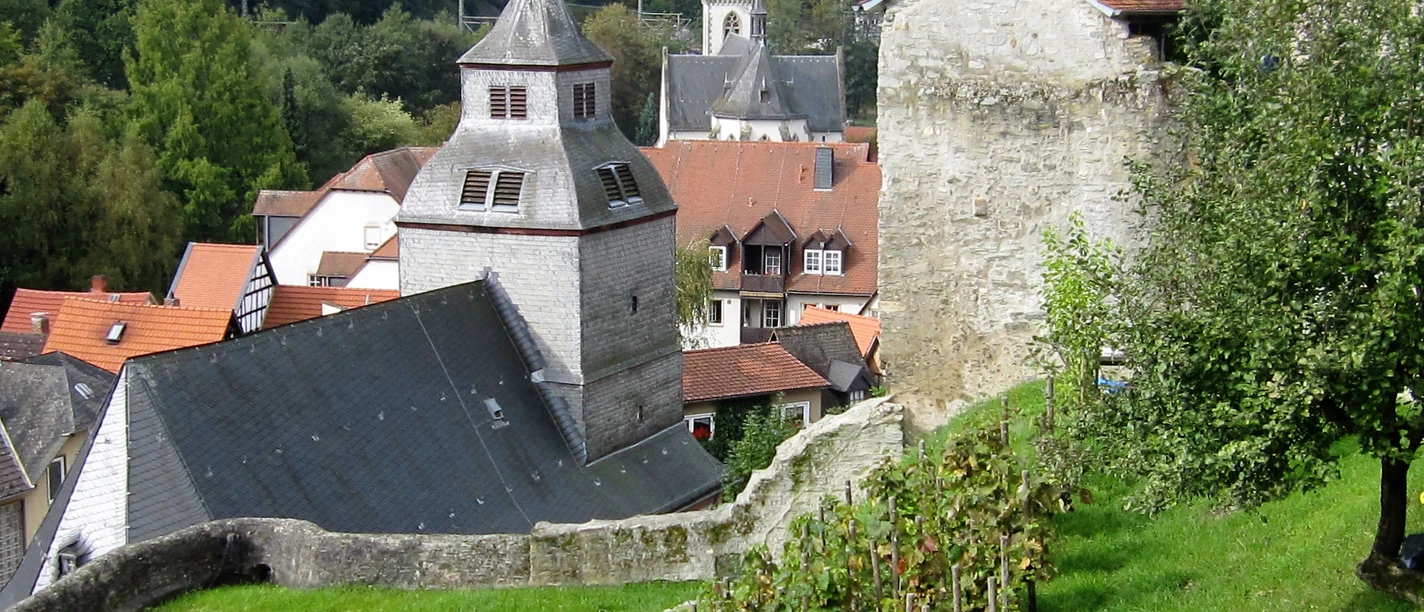 Wingert im Südzwinger