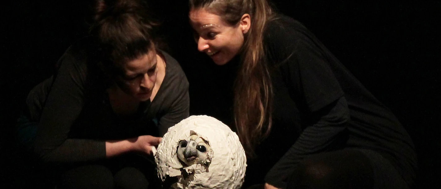 Was schlüpft da_(c) Irina Gollmer (2)_pr.jpg