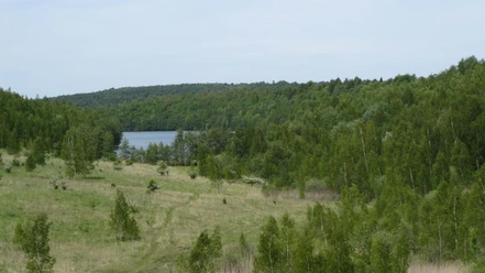 Haverlahwiese_HD_16zu9.JPG Weite Wiesenfläche mit vereinzelten Bäumen und dichtem Waldrand vor einem blauen See.