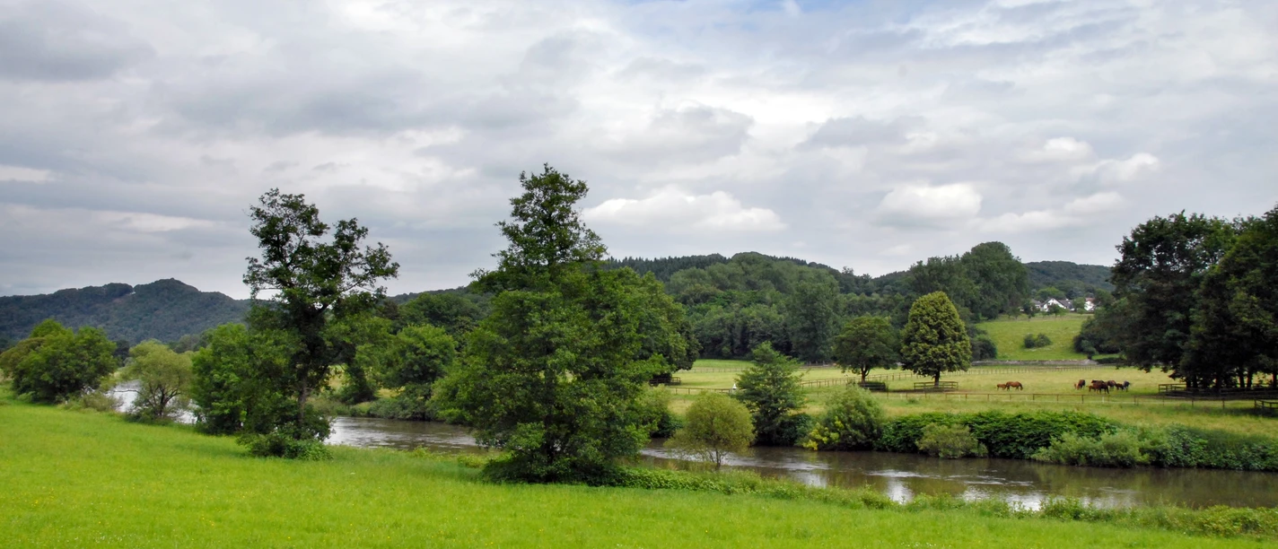 Blick auf die Sieg und Merten