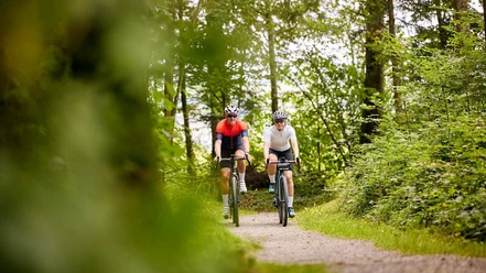Biken im Wald.