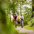 Biken im Wald.