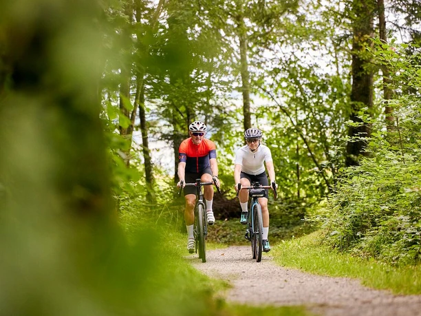 Biken im Wald.