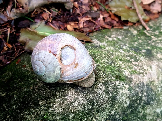 4cebea8a 7ec2 4261 8a79 46d4e33d322a (002)