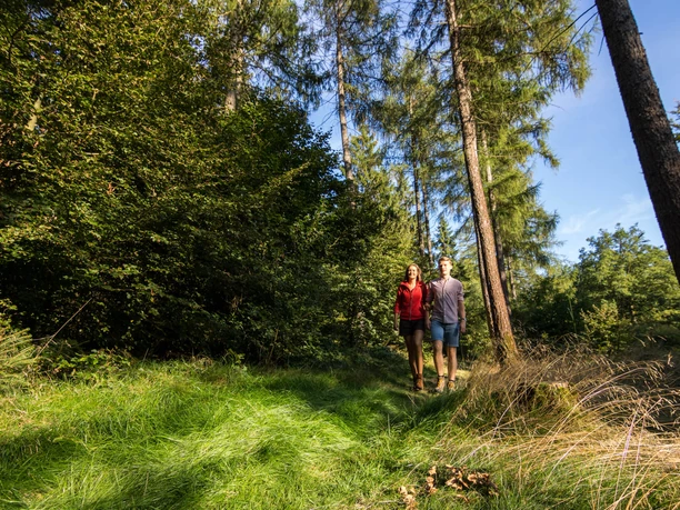 Wandern im Naturpark Münden