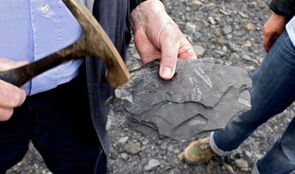 Schoene-Fundstuecke-bei-der-Fossiliensuche_C_Gerd-Maescher.png