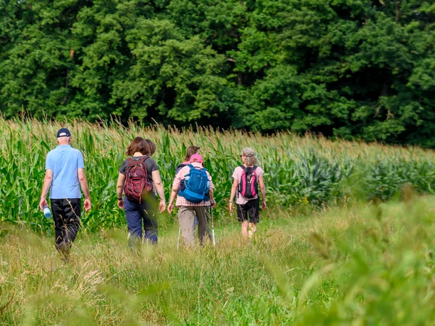 Wandern im Kreis Gütersloh, Foto: M. Wallenfang