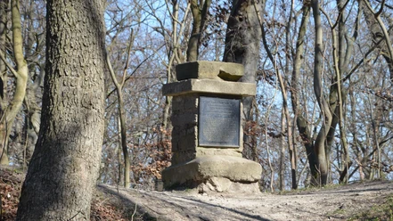 Gaußstein_Salzgitter-Lichtenberg_HD_16zu9.JPG Ein steinerner historischer Gaußstein mit schwarzer Gedenktafel steht mitten in einem Waldstück.