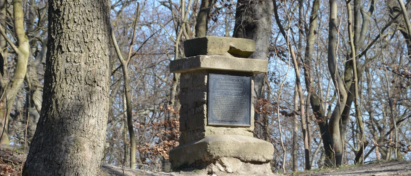 Gaußstein_Salzgitter-Lichtenberg_HD_16zu9.JPG Ein steinerner historischer Gaußstein mit schwarzer Gedenktafel steht mitten in einem Waldstück.