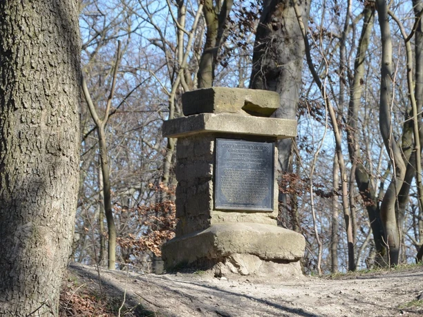 Ein steinerner historischer Gaußstein mit schwarzer Gedenktafel steht mitten in einem Waldstück.