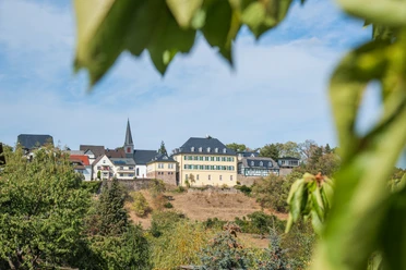 Blick auf die Neuburg, Battenberg(Eder)