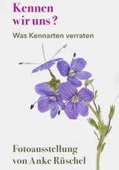 Foto 4.jpg