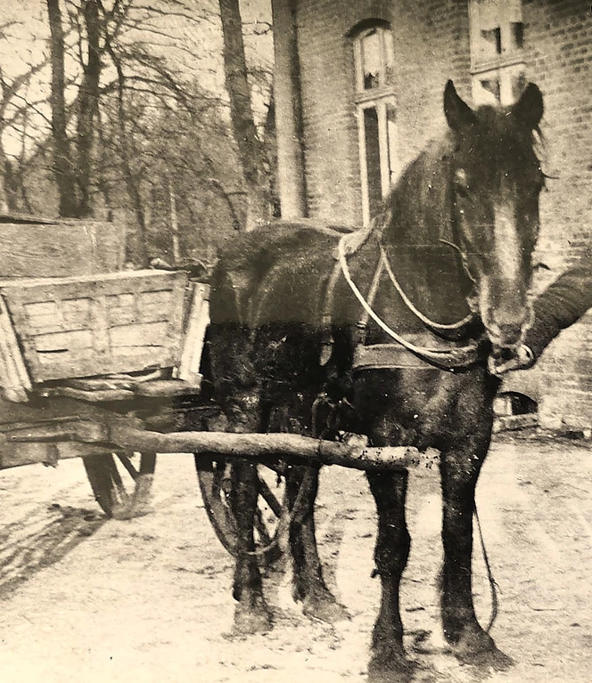 05 Pferdefuhrwerk....jpg