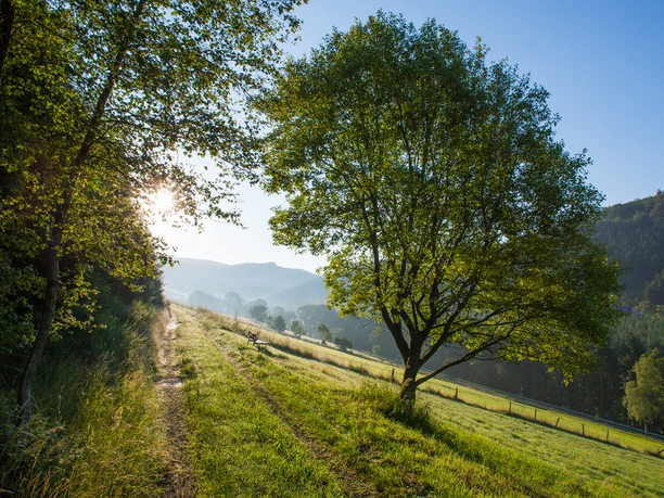Wandern im Sorpetal