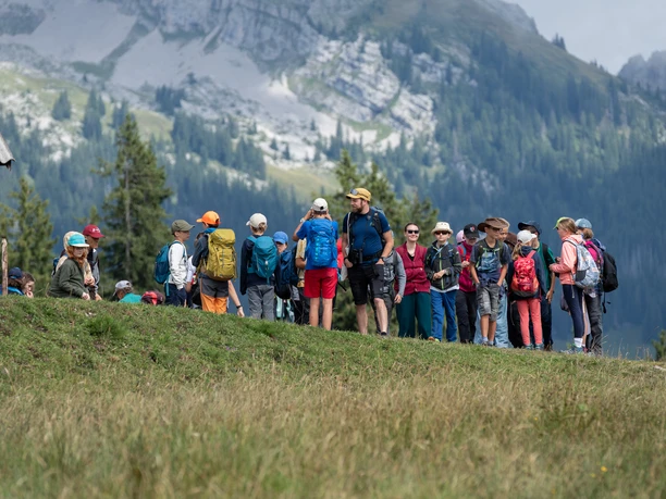 © UllmannPhotography