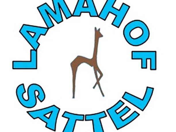 Lamahof Sattel