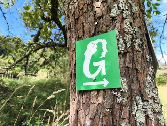 Schild-GrimmSteig_TAG_mittel