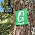 Schild-GrimmSteig_TAG_mittel