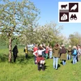 Streuobstwiesenwanderung Schwiegershausen