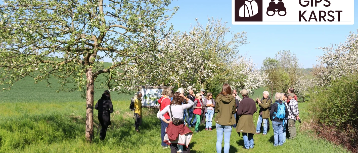 Streuobstwiesenwanderung Schwiegershausen