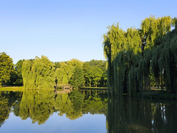 IMG_20250701_200104.jpg See am Schloss Möhler