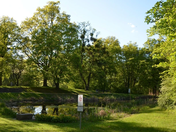 Lappenspringteich_Salzgitter_HD_16zu9.JPG Ruhiger Teich im Greifpark mit Schilf am Ufer, umgeben von grünen Wiesen und hohen Bäumen.