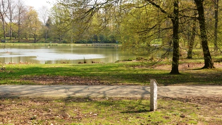 Teich_Stadtpark_Salzgitter-Lebenstedt_HD_16zu9.JPG Fußweg an einem baumgesäumten Teich im Stadtpark Salzgitter-Lebenstedt.