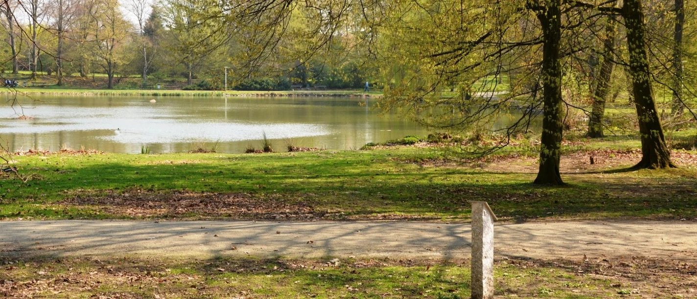 Teich_Stadtpark_Salzgitter-Lebenstedt_HD_16zu9.JPG Fußweg an einem baumgesäumten Teich im Stadtpark Salzgitter-Lebenstedt.