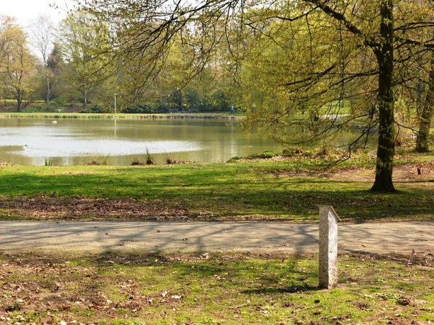 Teich_Stadtpark_Salzgitter-Lebenstedt_HD_16zu9.JPG Fußweg an einem baumgesäumten Teich im Stadtpark Salzgitter-Lebenstedt.