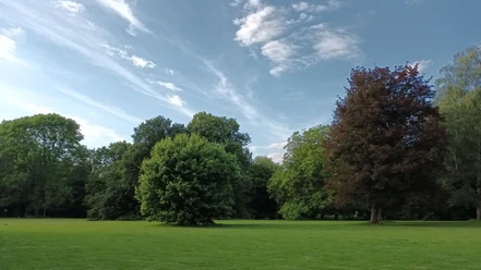 Stadtpark_Salzgitter-Lebenstedt_HD_16zu9.jpg Weite grüne Wiese mit verschiedenen Laubbäumen im Stadtpark Salzgitter-Lebenstedt unter blauem Himmel.