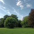 Stadtpark_Salzgitter-Lebenstedt_HD_16zu9.jpg Weite grüne Wiese mit verschiedenen Laubbäumen im Stadtpark Salzgitter-Lebenstedt unter blauem Himmel.