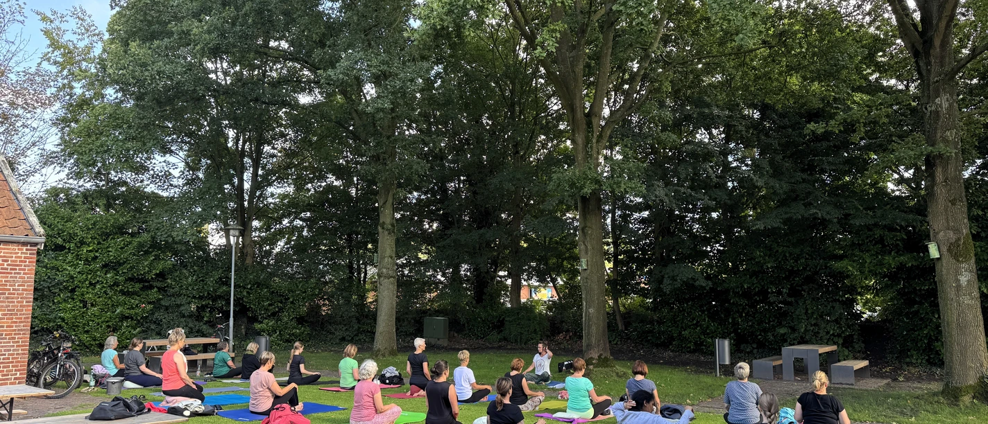 Yoga im Museumsgarten Eine Gruppe macht gemeinsam Yoga auf bunten Matten im Gras unter großen grünen Bäumen.