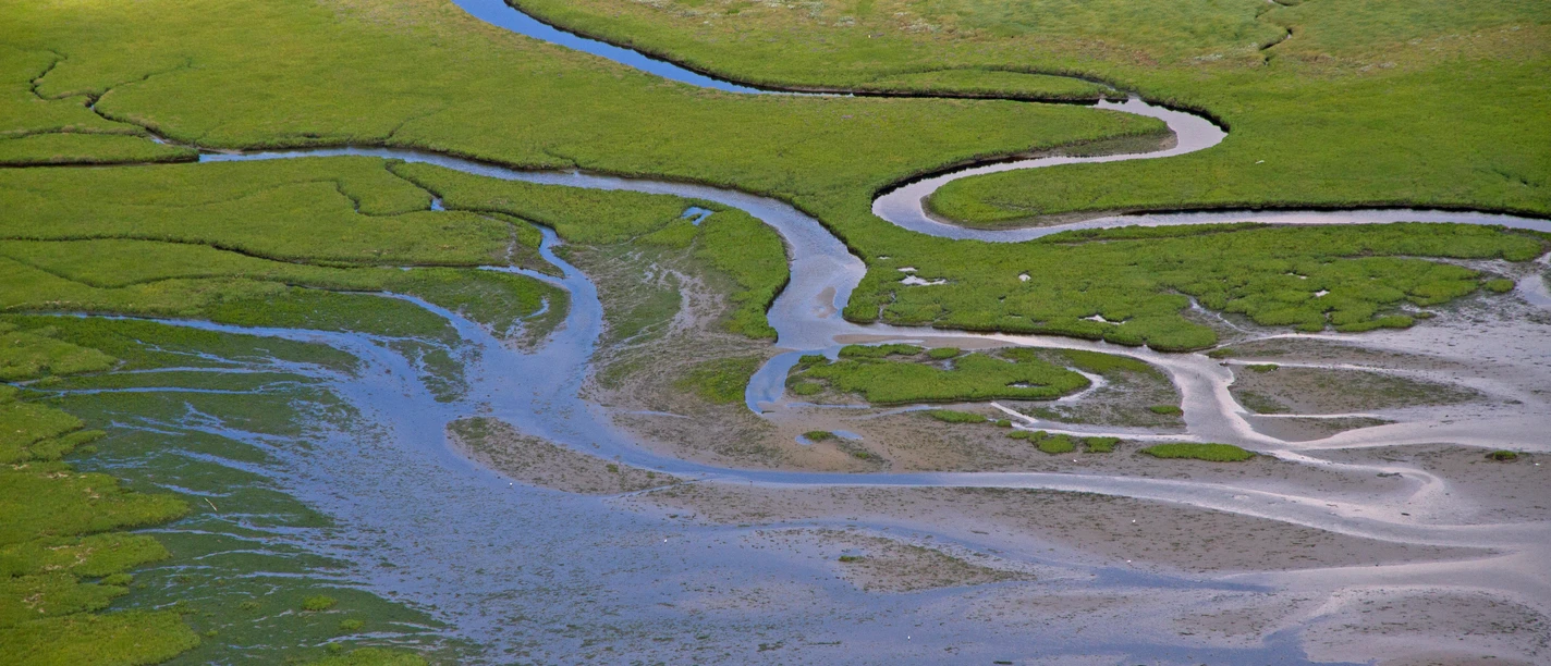 Priele in einer Salzwiese im Nationalpark Niedersächsisches Wattenmeer Priele in einer Salzwiese im Nationalpark Niedersächsisches Wattenmeer