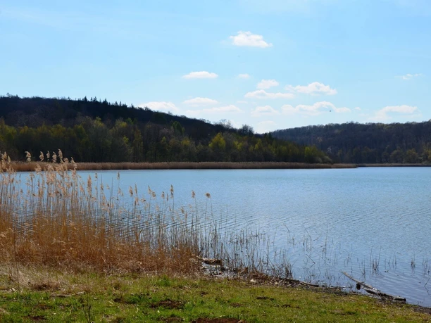 Reihersee_HD_16zu9.JPG Blauer See mit Schilf am Ufer, umgeben von bewaldeten Hügeln unter leicht bewölktem Himmel.