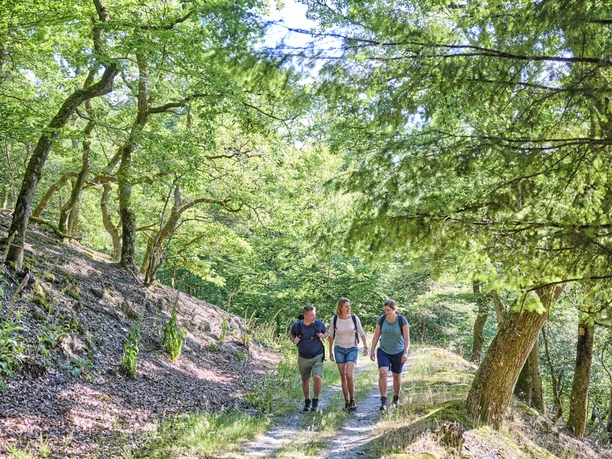 Auf dem Weg zum Dickschieder Fenster